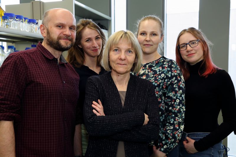 team prof. Królicka