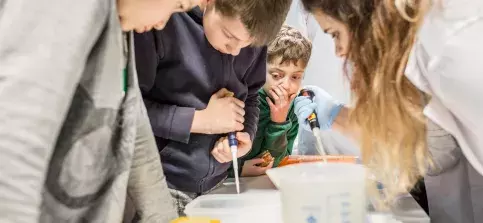 zdjęcie Informacje dla studentów I roku na MWB