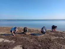 .