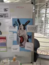 Zdjęcie