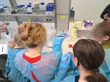 Zdjęcie w laboratorium 