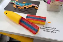 Noc Biologów stanowisko nr 5