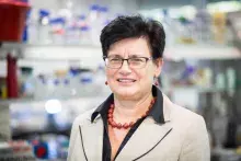 Prof. Ewa Łojkowska - Wiceprzewodnicząca ScanBalt w latach 2010-2014