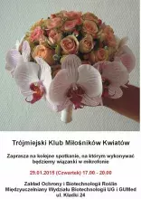 TKMK