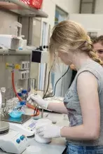 DNA - Encyklopedia Życia