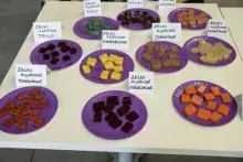 DNA - Encyklopedia Życia