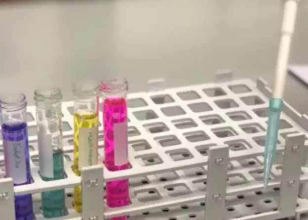 Noc Biologów 2022 za nami!