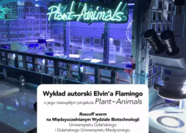 Wykład autorski Elvin Flamingo