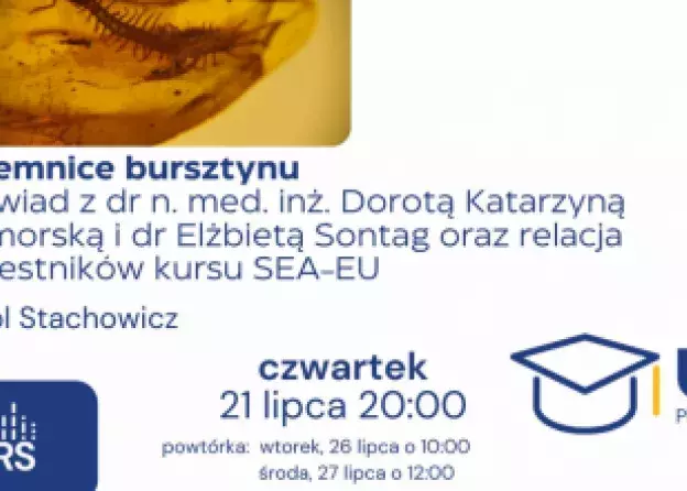 O bursztynach w Radiu Mors UG dr inż. Dorota Katarzyna Pomorska z Zakładu Biologii Molekularnej
