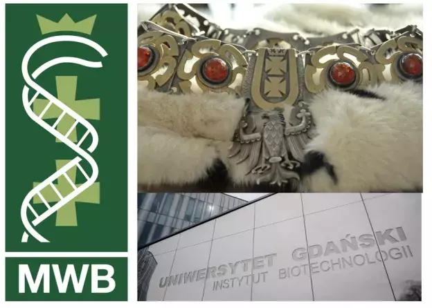 Wydziałowa inauguracja roku akademickiego 2025/2026