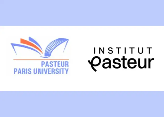 Stypendia i programy dla doktorantów i…