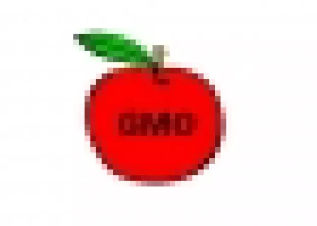 Warsztaty dla szkół: Debata na temat roślin GMO