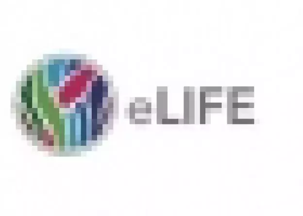 Publikacja zespołu Prof. Krzysztofa Liberka w czasopiśmie eLife