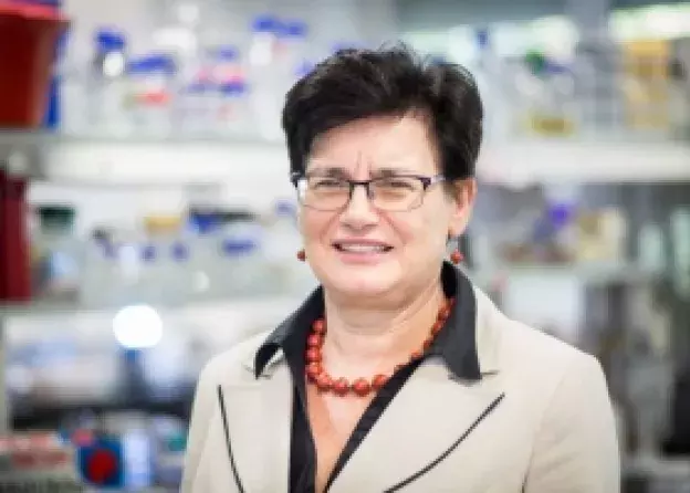 Profesor Ewa Łojkowska powołana do Rady Naukowej IOR