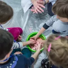 Noc Biologow 2018 - 90