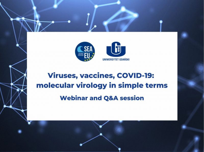webinar