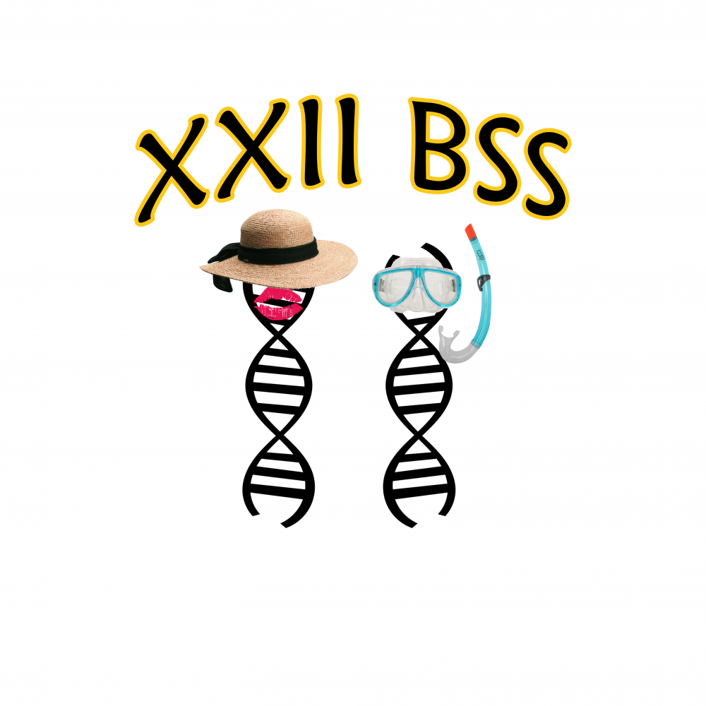 IFB