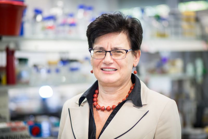 prof. dr hab. Ewa Łojkowska