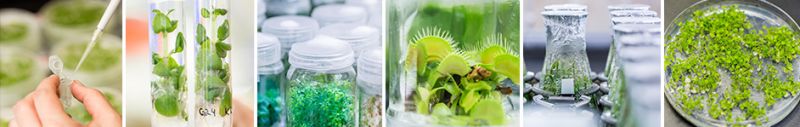 Laboratory of biologically active compounds
